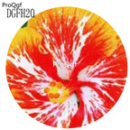 19usd white with red yellow edge Ngryise 500Pcs A Set Hibiscus Syriacus Flower Seed Hot