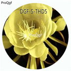 19usd Ngryise 3000Pcs A Set Yellow Color Epiphyllum Oxypetalum Flower Hot Seed DGF-S-THD5