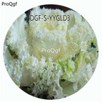 29usd Ngryise 100Pcs A Set White Color Brassica Oleracea Flower Hot Seed DGF-S-YYGLD3