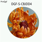 29usd Ngryise 500Pcs A Set Double Petal Orange Color Chrysanthemum Flower HOT Seed DGF-S-CBJDD4