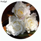 59usd Ngryise 500Pcs A Set Le Blanc Rosa Chinensis Flower Hot Seed DGF-S-YJHD074