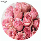 59usd Ngryise 500Pcs A Set Royal Fizz Rosa Chinensis Flower Hot Seed DGF-S-YJHD111