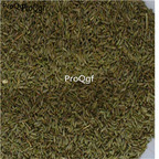 28usd Ngryise 1000pcs Cuminum cyminum seed