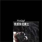 15usd Ngryise 50gram black soil