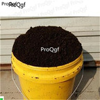 15usd Ngryise 50gram Leaf Mould