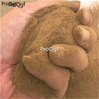 15usd Ngryise 50gram sandy soil