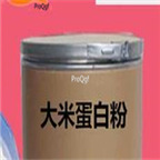 29usd Ngryise 50gram Rice protein