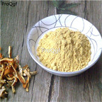15usd Ngryise 100gram Citrus reticulata powder