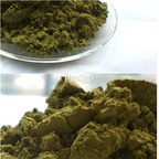 15usd Ngryise 500gram Folium Sennae powder
