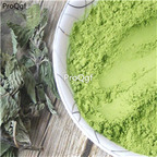 19usd Ngryise 300gram Mentha haplocalyx powder