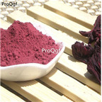 15usd Ngryise 100gram roselle powder