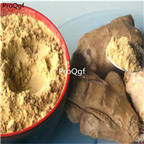 19usd Ngryise 200gram Zingiber officinale Roscoe powder