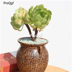 20usd Ngryise Bronze Medal plant