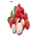 18Usd 200pcs baila Ngryise Litchi Lychee Li Zhi seed