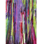 28Usd 5000pcs Ngryise Eucalyptus deglupta seed