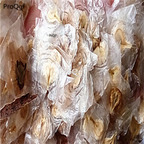 18usd Ngryise 500pcs Spathodea campanulata seed