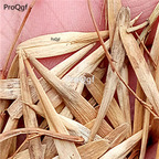 18usd Ngryise 3000pcs Fraxinus chinensis seed