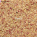 18usd Ngryise 5000pcs Trifolium repens  seed