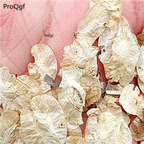 18usd Ngryise 5000pcs Ulmus pumila seed