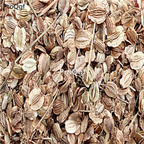 18usd Ngryise 5000pcs Angelica dahurica seed