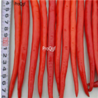18usd Ngryise 5000pc Red Long Pepper Capsicum seed