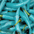 18usd Ngryise 5000pcs Blue Turquoise Pepper Pepper Capsicum seed