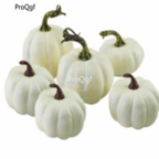 18usd Ngryise 300pcs white pumpkin vegetable seed