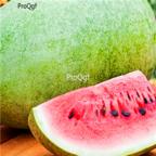 18usd Ngryise 1000pcs Citrullus Lanatus Big Red Meat Watermelon seed