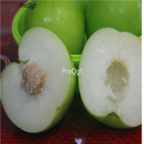 15usd Ngryise 300pcs Green Date Palm Zizyphus Mauritiana For Jujube seed