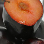 15usd Ngryise 200pcs purple plum seed