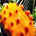 18usd Ngryise 3000pcs Kiwano Melon African Cucumber seed