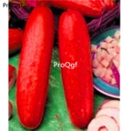 18usd Ngryise 3000pcs red cucumber seed