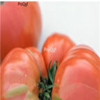 18usd Ngryise 3000pcs Watermelon Beefsteak Tomato seed