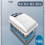 69usd incubator chicken egg 20pcs duck egg 10pcs Goose egg 10pcs dove egg 42pcs