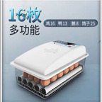 59usd incubator chicken egg 16pcs duck egg 13pcs Goose egg 8pcs dove egg 25pcs