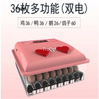 259usd incubator love new species chicken egg 36pcs duck egg 36cs Goose egg 26pcs dove egg 60pcs