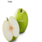 28usd Ngryise 1000pcs cuiguan Pyrus spp seed