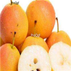 28usd Ngryise 1000pcs nanguo Pyrus spp seed