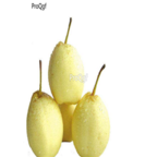 28usd Ngryise 1000pcs yali Pyrus spp seed