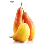 28usd Ngryise 1000pcs yantai Pyrus spp seed