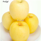 28usd Ngryise 800pcs yellow banana Malus domestica apple fruit seed