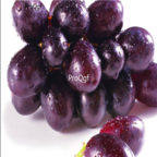 28Usd Ngryise 900pcs united states grape Vitis vinifera fruit seed
