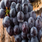 28Usd Ngryise 900pcs summer black grape Vitis vinifera fruit seed