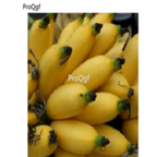 pisanbanyang 58usd Ngryise 10pcs banana fruit seed