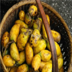 58usd Ngryise 10pcs  Musa chunii fruit seed