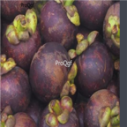 58usd Ngryise 10pcs Garcinia mangostana seed