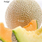 88usd Ngryise 20pcs Yūbari melon seed