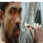 199usd Ngryise 10pcs  Salvadora persica seed