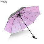 12usd Ngryise 1 Set lovely korean style 8 umbrella