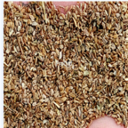 19usd Ngryise 3000pcs Weigela Florida Foliia purpureis seed